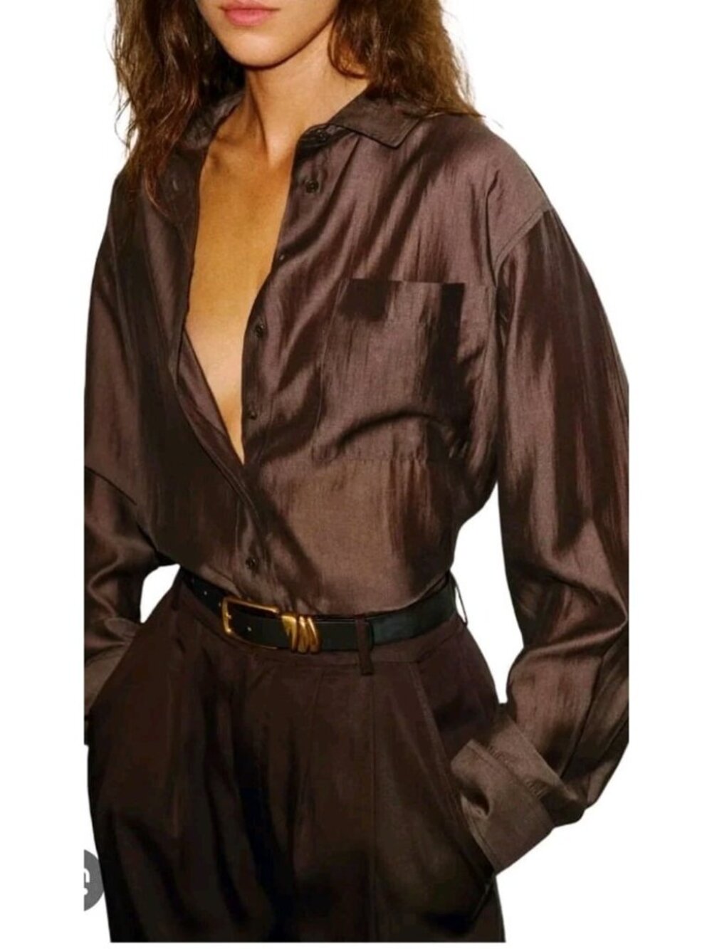 Reformation Eli Oversized Shirt Sheer Brown Silky Button Up Sz S NWT Revolve